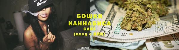 ПСИЛОЦИБИНОВЫЕ ГРИБЫ Няндома