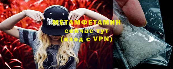ПСИЛОЦИБИНОВЫЕ ГРИБЫ Няндома